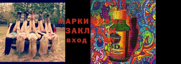 дживик Верхний Тагил