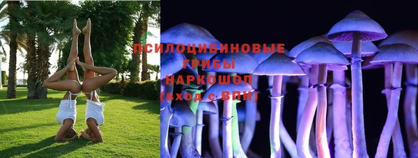 mdma Бородино